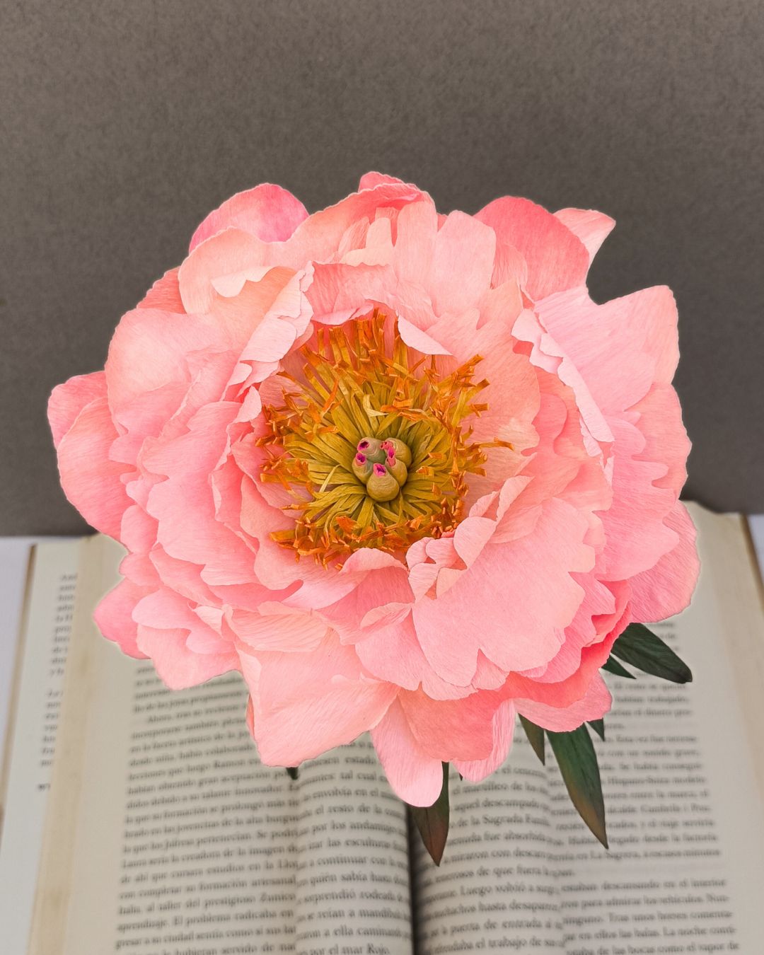 ESCUELA DE FLORES DE PAPEL. CURSO DE FLORES DE PAPEL. COMO HACER FLORES DE PAPEL SENCILLAS Y BONITAS. PEONIA DE PAPEL CREPE. MOLDE PEONIA DE PAPEL PEONIAS DE CARTULINA. FLOR PEONIA DE PAPEL.