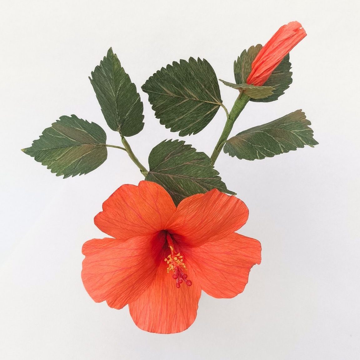 ramo de flores tropicales con hibiscos, hibiscus, hibiscus de papel, hibiscos para ramos de flors, hibiscus naranjas