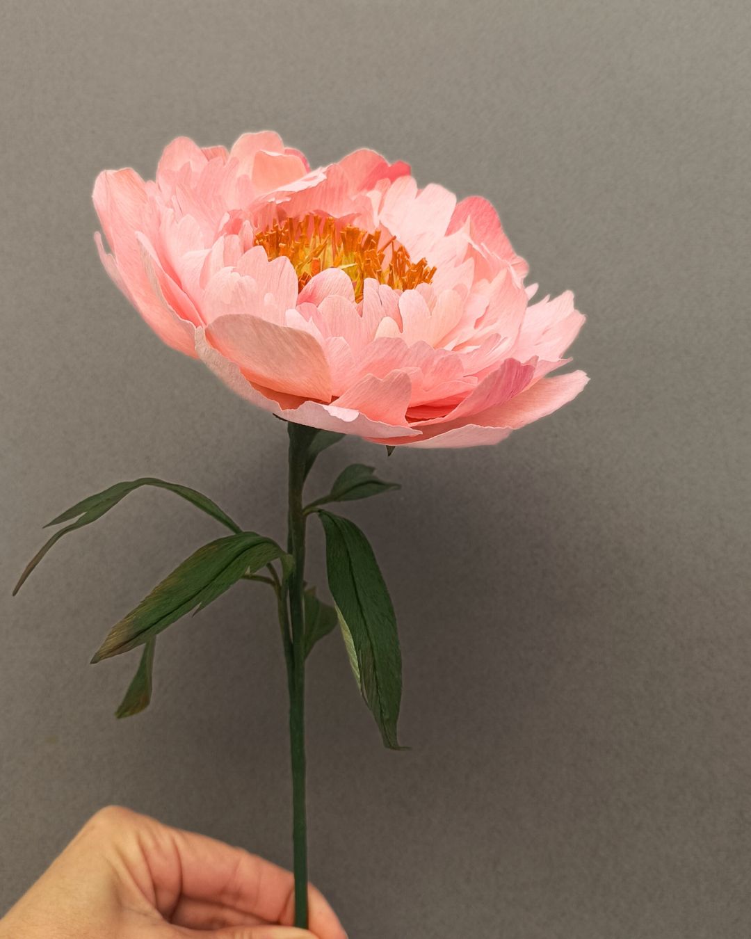 ESCUELA DE FLORES DE PAPEL. CURSO DE FLORES DE PAPEL. COMO HACER FLORES DE PAPEL SENCILLAS Y BONITAS. PEONIA DE PAPEL CREPE. MOLDE PEONIA DE PAPEL PEONIAS DE CARTULINA. FLOR PEONIA DE PAPEL.