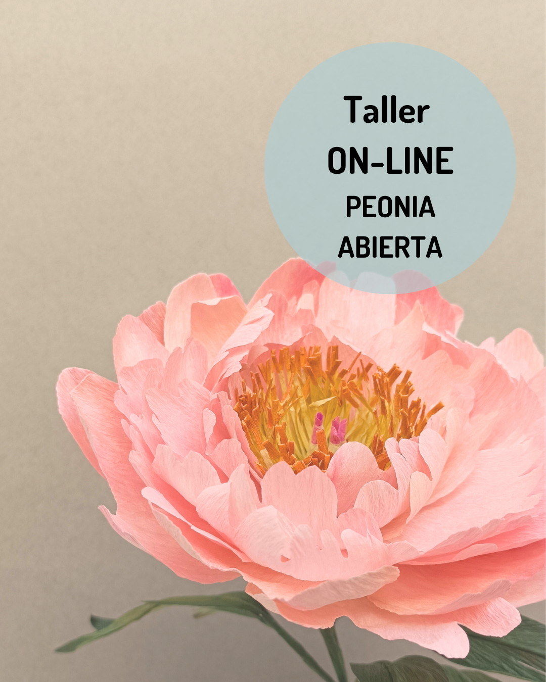 curso online de peonia coral charm en papel. como hacer peonia de papel crepe, molde de peonia de papel, flor peonia de papel,
