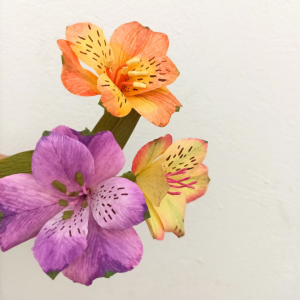 CURSO ONLINE ASTROMELIA DE PAPEL CREPE